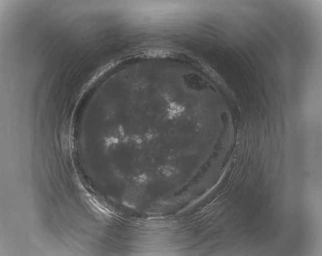 X0000078280722200611101133