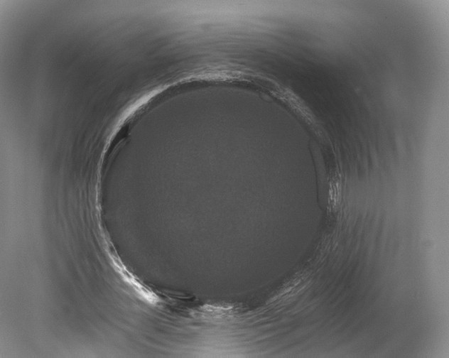 X0000078280724200611101133