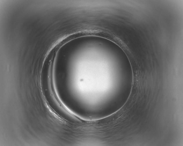 X0000078280726200611101133