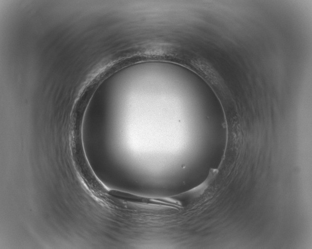 X0000078280728200611101133