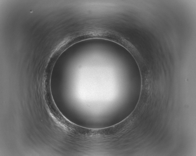 X0000078280730200611101133