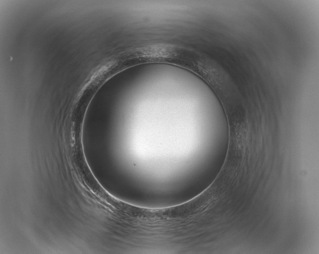 X0000078280731200611101133