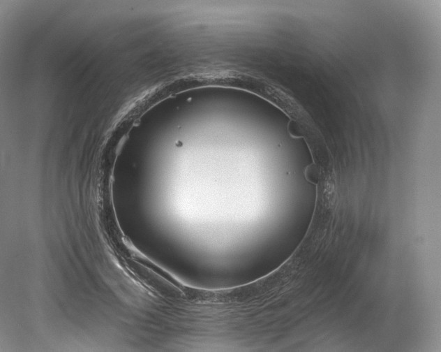 X0000078280732200611101133