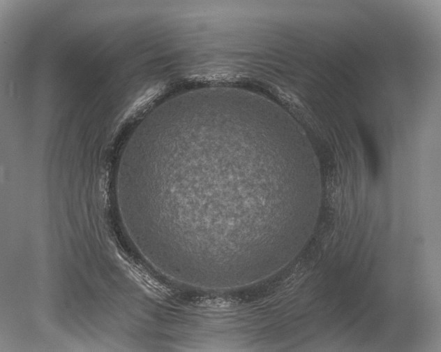 X0000078280735200611101133