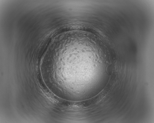 X0000078280737200611101133