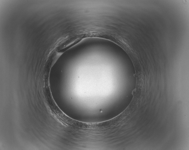 X0000078280738200611101133