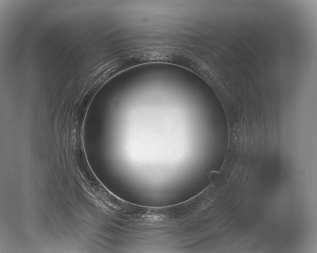 X0000078280741200611101133