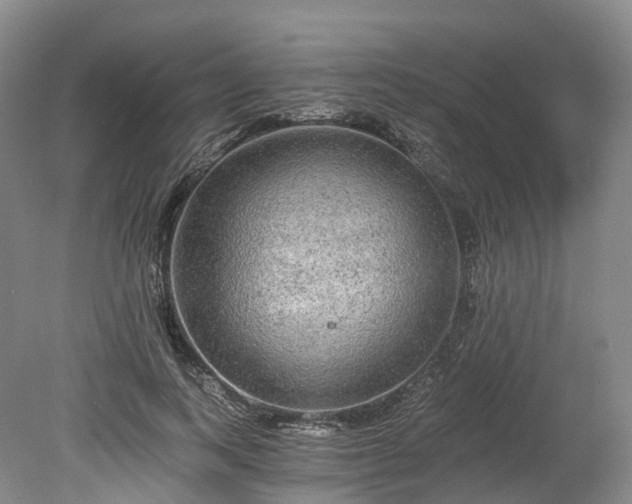 X0000078280743200611101133