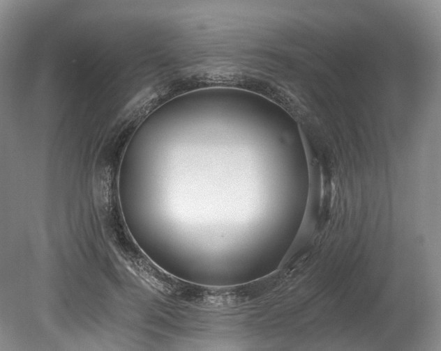 X0000078280744200611101133