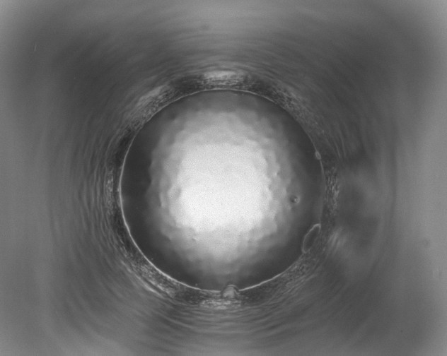 X0000078280745200611101133