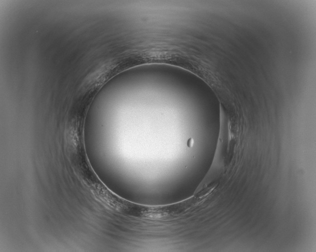 X0000078280746200611101133