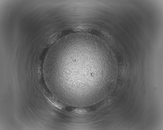 X0000078280749200611101133