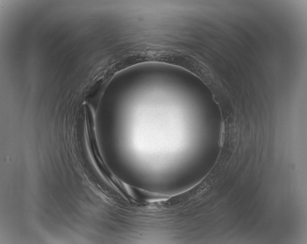 X0000078280750200611101133