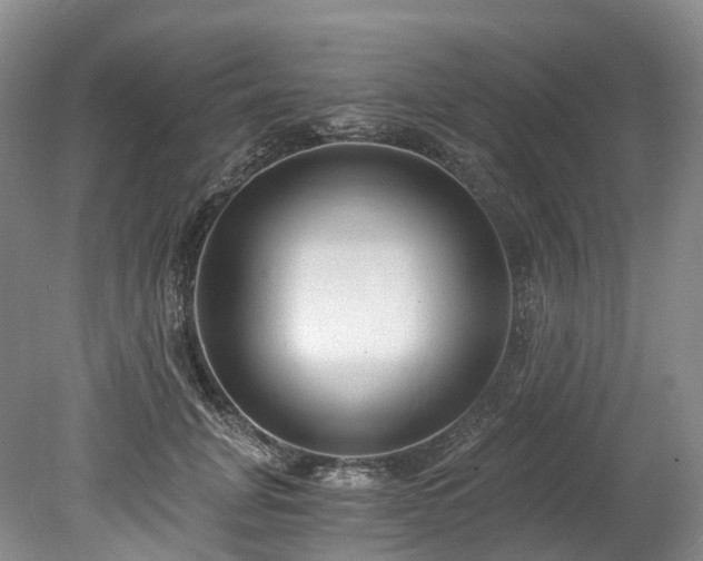 X0000078280751200611101133