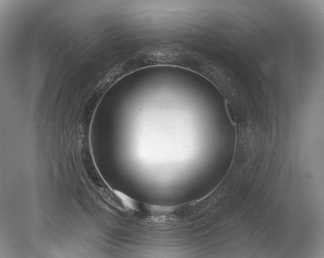 X0000078280752200611101133