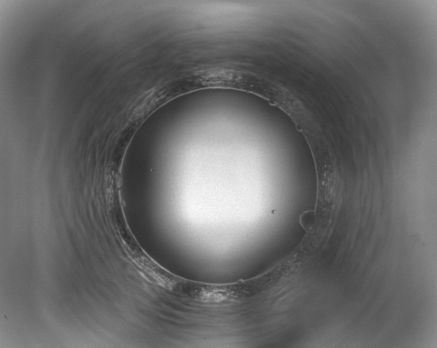 X0000078280753200611101133