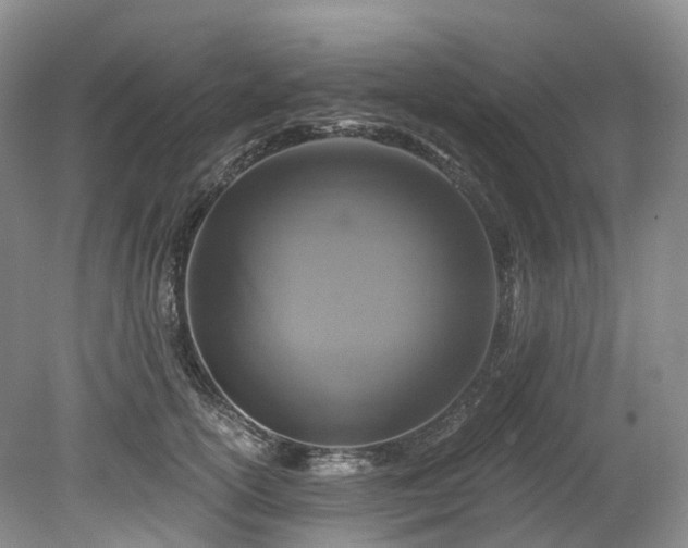 X0000078280754200611101133