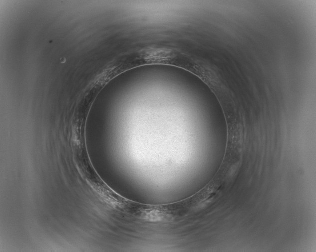 X0000078280755200611101133