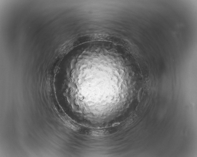 X0000078280757200611101133