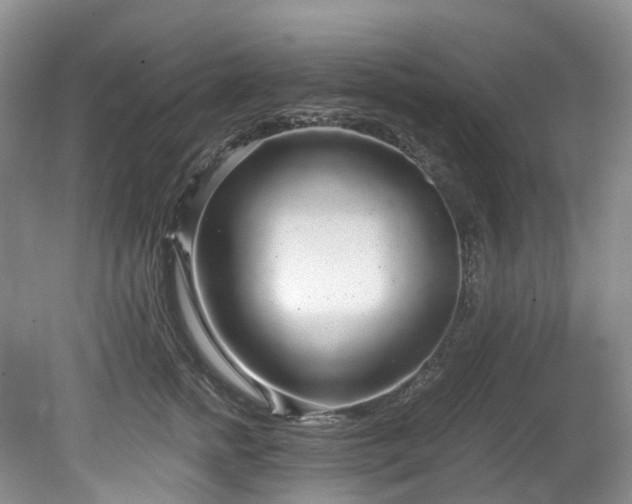 X0000078280758200611101133