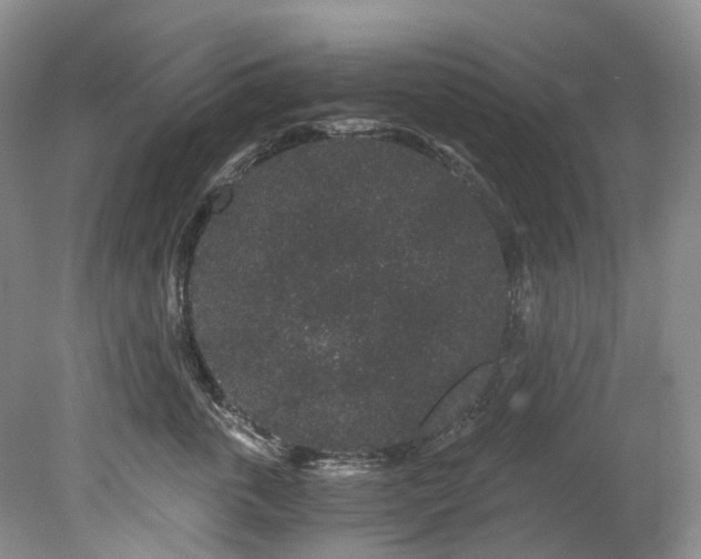 X0000078280763200611101133