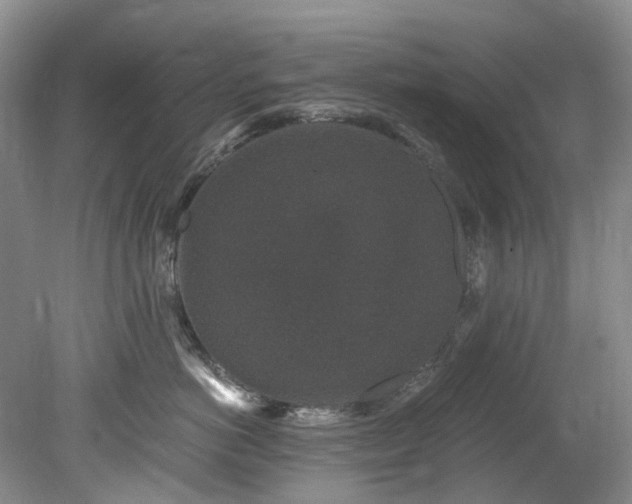 X0000078280766200611101133