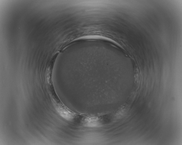 X0000078280767200611101133