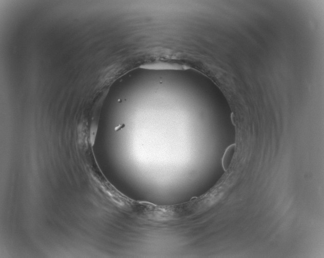 X0000078280768200611101133