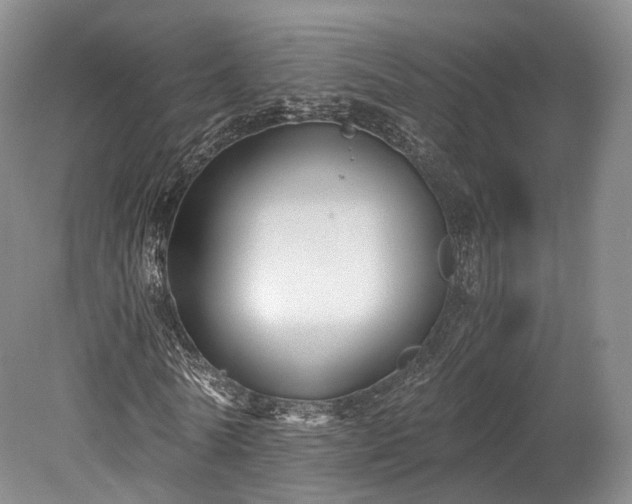 X0000078280770200611101132