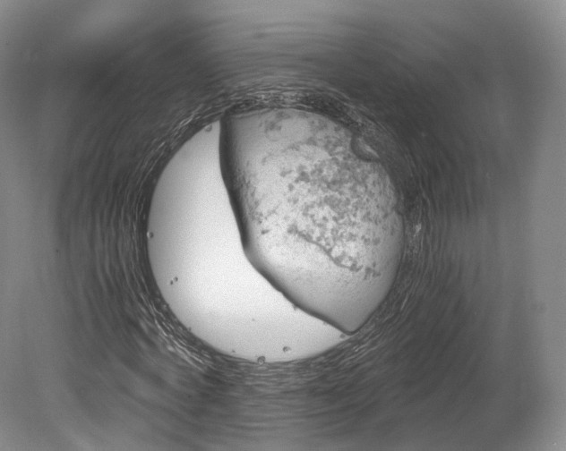 X0000078280772200611101132