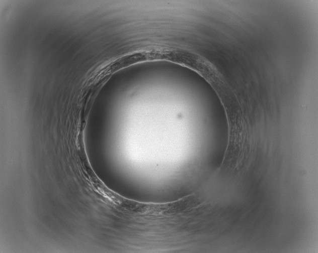 X0000078280773200611101132