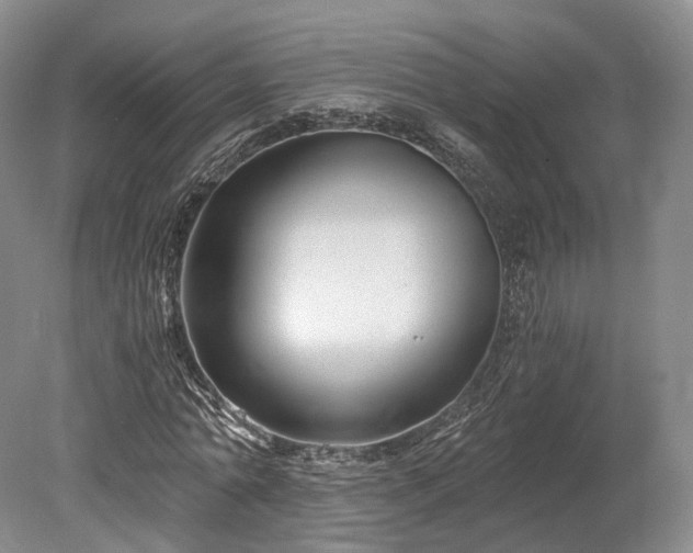 X0000078280774200611101132