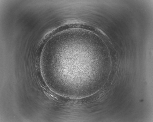 X0000078280775200611101132