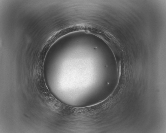 X0000078280776200611101132