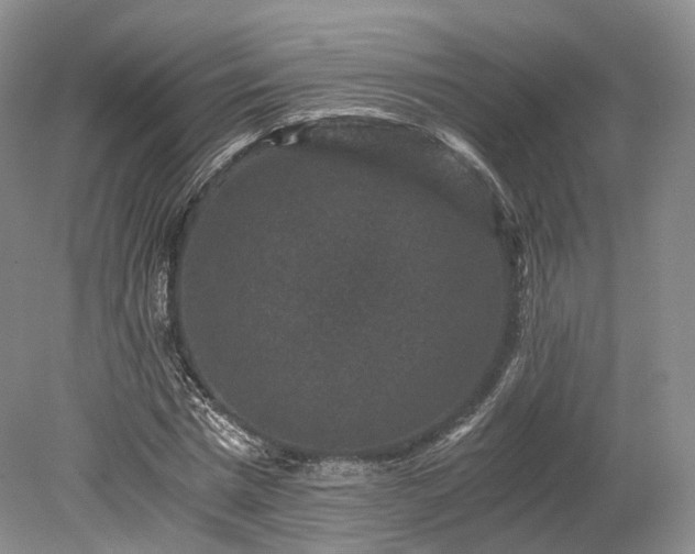 X0000078280777200611101132