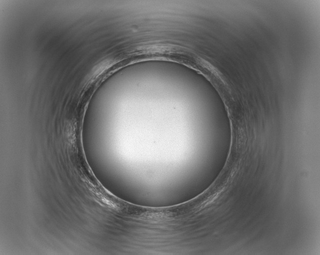 X0000078280778200611101132