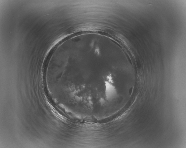 X0000078280779200611101132