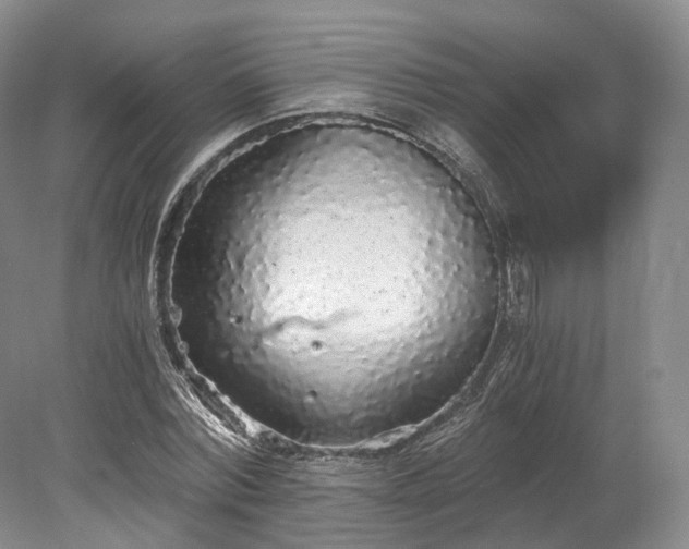 X0000078280780200611101132