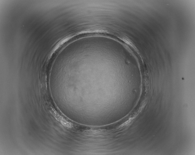 X0000078280781200611101132