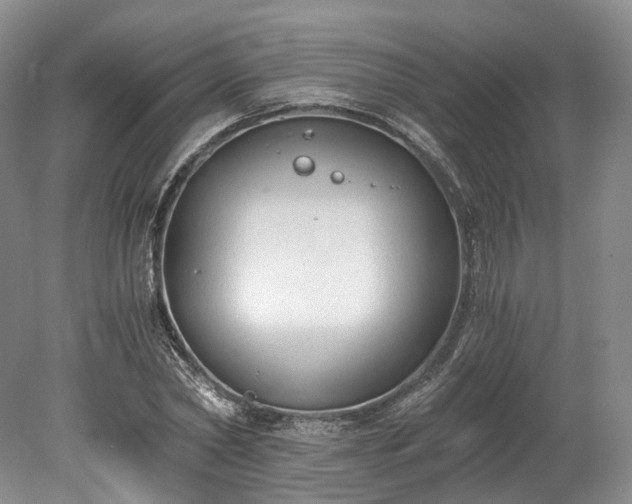 X0000078280782200611101132