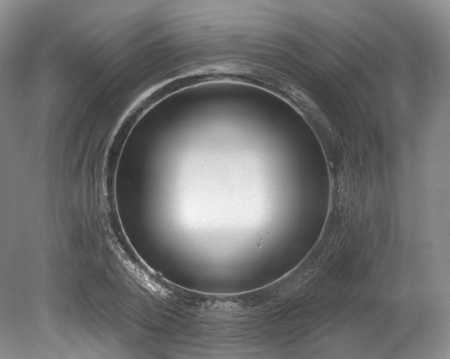 X0000078280784200611101132