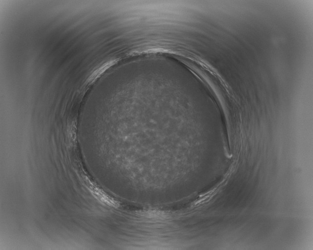 X0000078280785200611101132