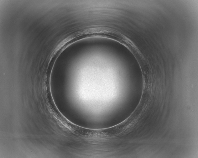 X0000078280786200611101132