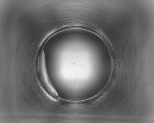 X0000078280789200611101132