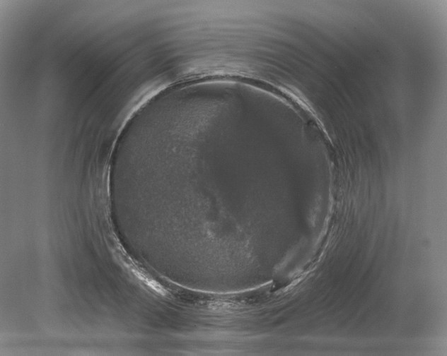 X0000078280790200611101132