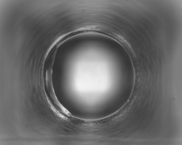 X0000078280792200611101132