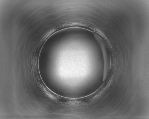 X0000078280793200611101132