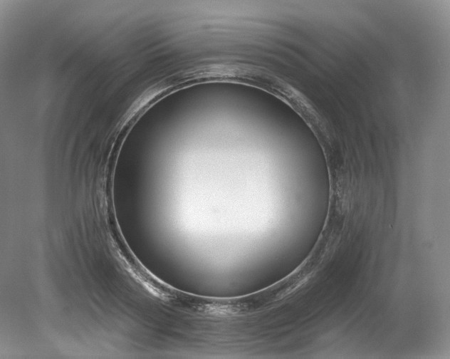 X0000078280794200611101132