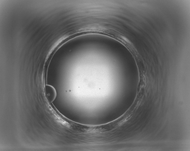 X0000078280796200611101132