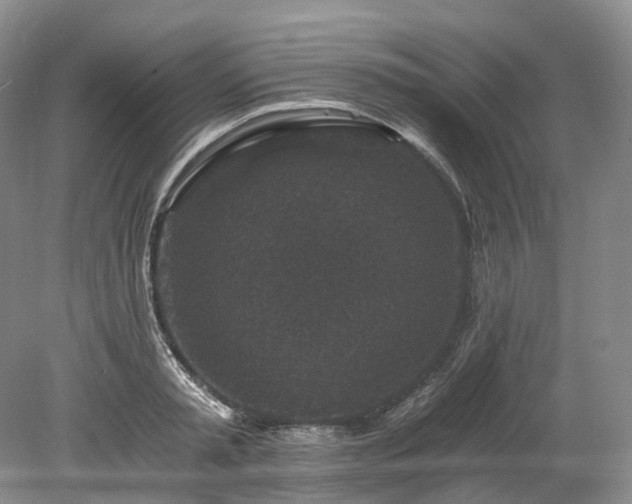 X0000078280797200611101132